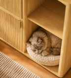 Mewlap Hidden Cat Cabinet